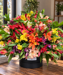 Flower Box Alegra G