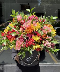 Flower Box Alegra GG