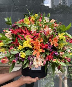 Flower Box Alegra G